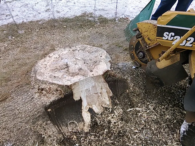 Large stump removal service