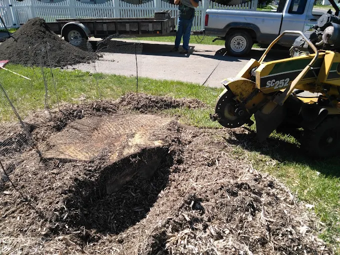 Professional stump grinding service in Columbus NE