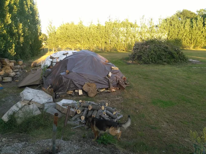 Small tree work and debris removal